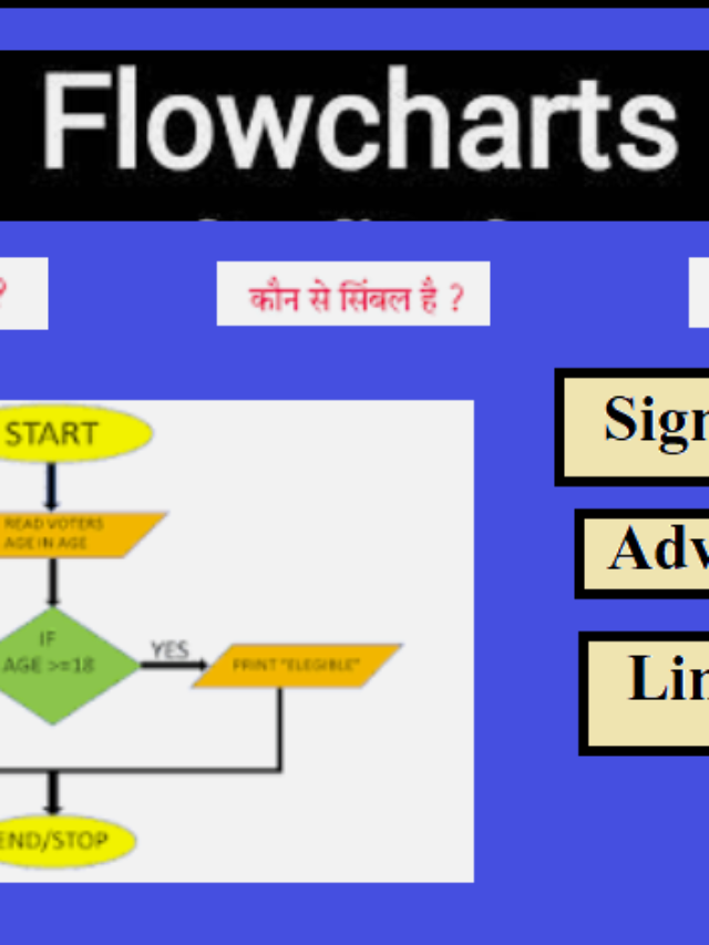 Flowcharts क्या होता है ? जानें 7 प्रकार के प्रतीक चिन्हों को & benefits